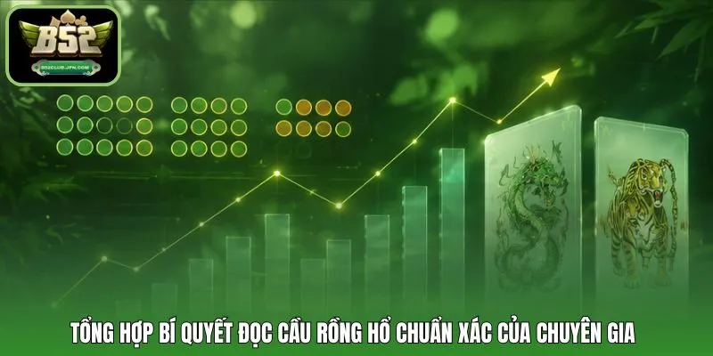 Tổng hợp bí quyết đọc cầu Rồng Hổ chuẩn xác của chuyên gia